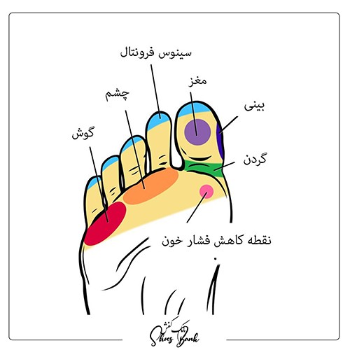 ماساژ شست پا